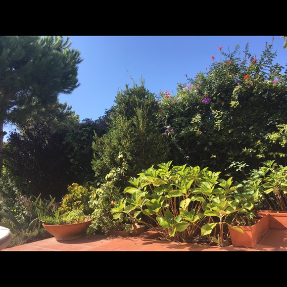 Meet your Posher, Daniela - Picture 1 of 1